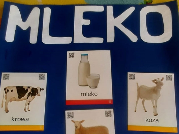 Projekt MLEKO