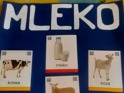 Projekt MLEKO